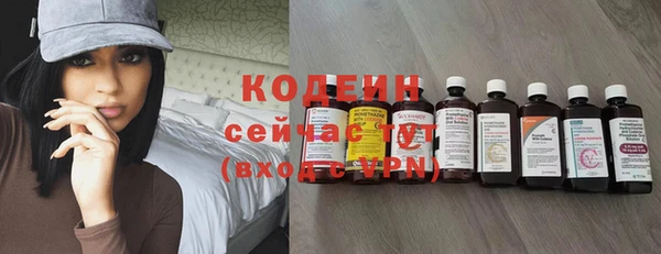 прущие грибы Балахна