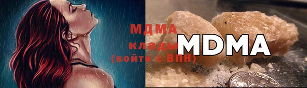 прущие грибы Балахна