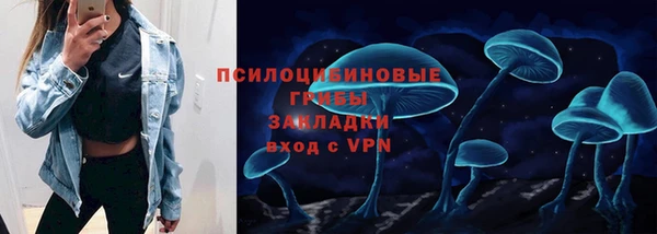 прущие грибы Балахна