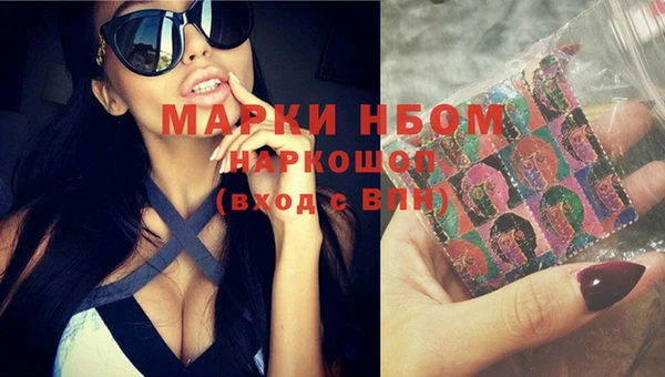 прущие грибы Балахна