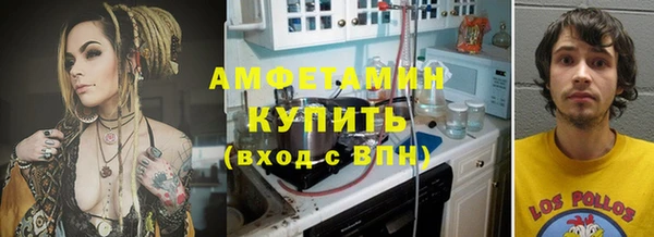 прущие грибы Балахна