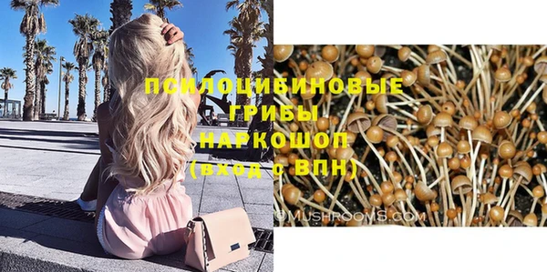 прущие грибы Балахна