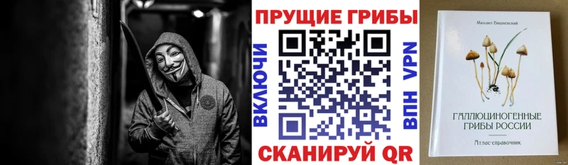 Купить где  Бирюч  Псилоцибиновые грибы Cubensis 