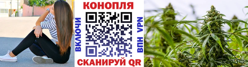Купить  Бирюч  Канабис семена 